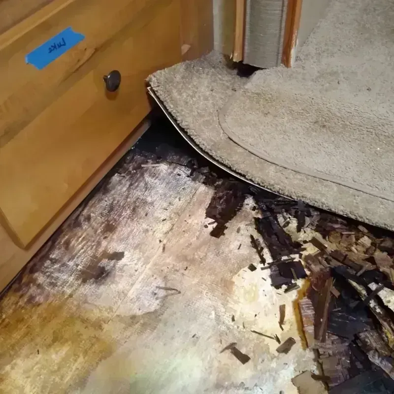 Wood Floor Water Damage in Clare County, MI